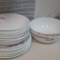سرویس آرکوپال فرانسوا ،و دیس پلوخوری زرین