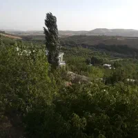فروش باغ (زمین) ۱۰۰۰متری در سربست سپیدان|فروش زمین و ملک کلنگی|شیراز, گویم|دیوار