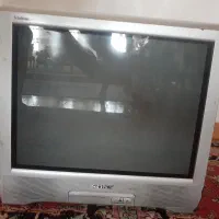 تلویزیون