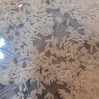 برنج درسته هاشمی الموت ۵۰ کیلو