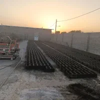 کارگر بلوکه زن دائم