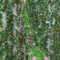 گل مصنوعی|گل مصنوعی|بجنورد, |دیوار