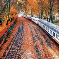 فروش بلیط قطار