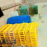 پرکن و وسایل مرغ فروشی|عمدهفروشی|حمیدیه, |دیوار