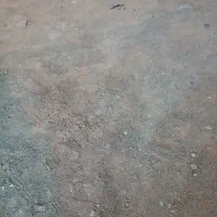 زمین حاشیه  ۵۰ متری صنعت بلوار نمایشگاه