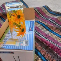 ظروف|ظروف سرو و پذیرایی|نجف‌آباد, امام خمینی|دیوار