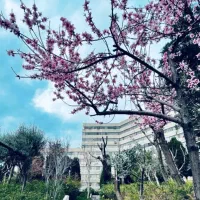 2-خوابه-دوبلکس