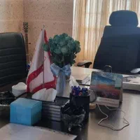 وکیل پایه یک دادگستری‌