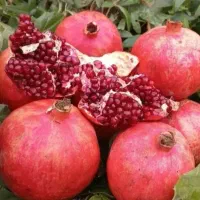 انار دونه مشکی قلعه چم|خوردنی و آشامیدنی|سلفچگان, |دیوار