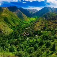 باغ دلفارد