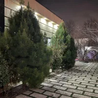 اجاره ویلا استخردار