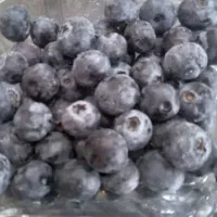 بلوبری|خوردنی و آشامیدنی|رفسنجان, |دیوار