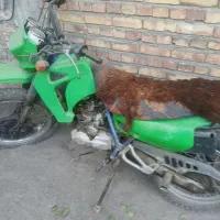 فروش موتورسیکلت تریل ۲۰۰ پیشرو|موتورسیکلت|ملارد, |دیوار