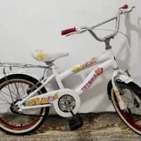 دوعدد دوچرخه۱۶ دوقلو