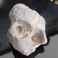 این سنگ آهن ربا رو به خودش جذب می کنه