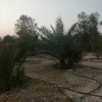 باغ شهری حسن لری 1000 متری قابل معاوضه