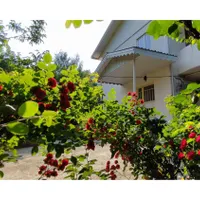 ویلای دوخوابه و دربست در گردنه حیران