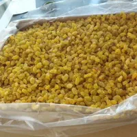 کشمش سبز|خوردنی و آشامیدنی|تهران, کوی بیمه|دیوار