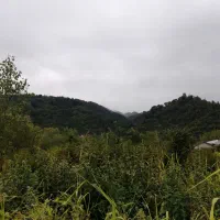 2350 متر مسکونی لاهیجان لنگرود