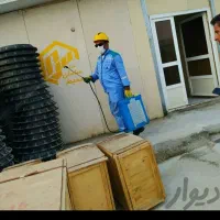 سمپاشی انواع حشرات سوسک ساس سم پاشی با ضمانت شرکتی|خدمات نظافت|چمران, |دیوار