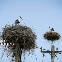 راهنمایی خرید ملک