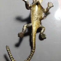 مجسمه برنجی مارمولک|مجسمه، تندیس، ماکت|تهران, خواجه نظام الملک|دیوار