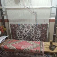 قالی|فرش|کرج, شهرک فرهنگیان|دیوار