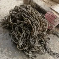 تور بار