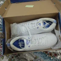 کتونیumborاصل