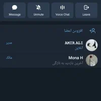 گروه تلگرام