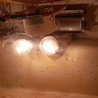 دستگاه جوجه کشی|لوازم جانبی حیوانات|گنبد کاووس, |دیوار