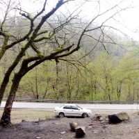 سمند lx بنزینی