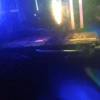 گرافیک rx 470 8gb مارک msi دو فن بزرگ|قطعات و لوازم جانبی رایانه|کرج, شهرک فهمیده|دیوار