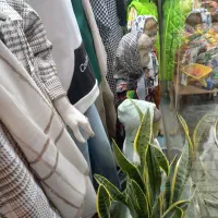 ویترین|فروشگاه و مغازه|چناران, |دیوار