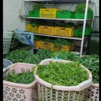 سبزی فروشی .خورد کنی  باغی شهریار|خوردنی و آشامیدنی|نسیم‌شهر, |دیوار