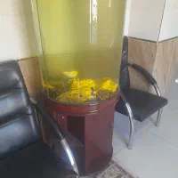 اکواریوم ۱۰میلی گرد خارجی کمددار