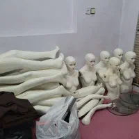 مانکن پویا|فروشگاه و مغازه|شیراز, اصلاح‌نژاد|دیوار