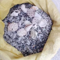 اکواریوم همراه باوسایل|ماهی|اصفهان, ملاصدرا|دیوار