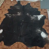 پوست چرم طبیعی گاو|کیف، کفش، کمربند|مینودشت, |دیوار