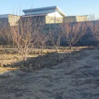 فروش باغ وایقان شبستر جاده گاز شرفتین|فروش خانه و ویلا|شبستر, |دیوار