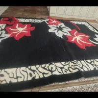 گلیم فرش|گلیم، جاجیم، گبه|دزفول, |دیوار