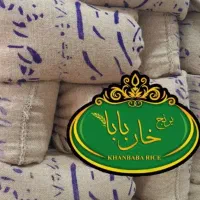 برنج هاشمی  طارم  صدری عنبربو  فجر  ندا  شیرودی