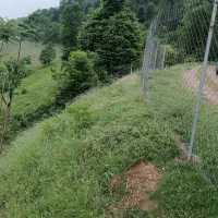 خونه باغ گردو ۱۰۰۰متری|فروش زمین و ملک کلنگی|فریم, |دیوار