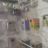 لانه فنج نرگسی سفید پرنده لونه