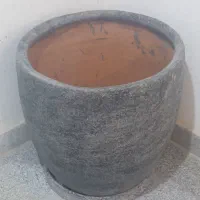 گلدان سفالی و پلاستیکی|گل و گیاه طبیعی|هشتگرد, فاز ۳ مهستان|دیوار