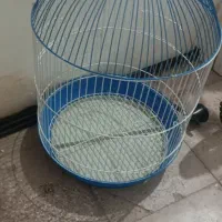 دوتا قفس دونه 200|لوازم جانبی حیوانات|تربت‌حیدریه, داروپخش|دیوار