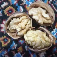 گردو درجه یک بوانات|خوردنی و آشامیدنی|شیراز, رحمت‌آباد|دیوار