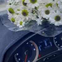 کویک 85 گانه S