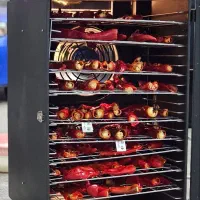 خشک‌کن میوه راهی سالم برای ماندگاری طعم‌ها|ماشین‌آلات صنعتی|ارومیه, |دیوار