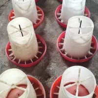 دانخوری آبخوری